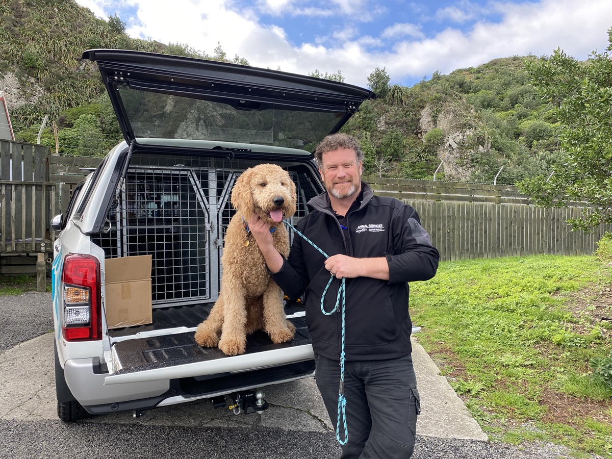 News and information - Right place, right time: A life-saving phone call - Wellington City Council News and information - Right place, right time: A life-saving phone call - Wellington City Council