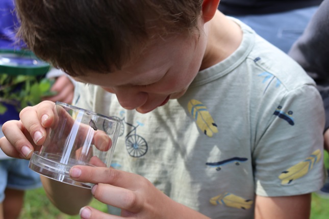 Young boy examines bug in jar during City Nature Challenge event.