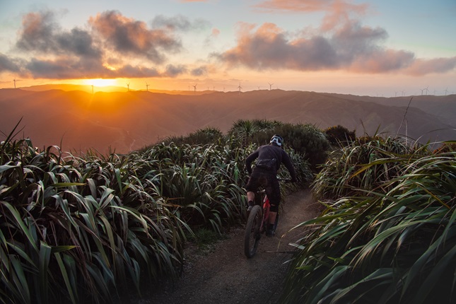 Cyclist riding along Makara Peak as sun sets in the background.