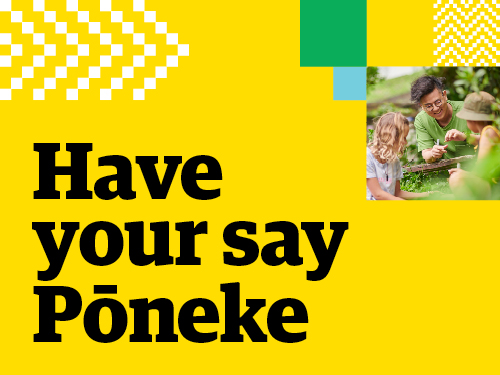 Creative content for Have your Say Poneke LTP consultation.