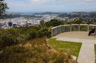 View of Te Ahumairangi reserve with city in background.