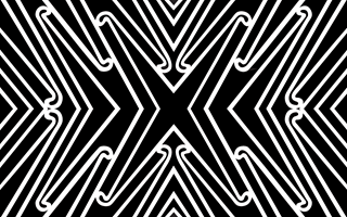 Black and white flag design by Reuben Paterson.
