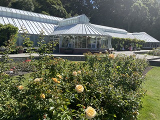 The Begonia House.