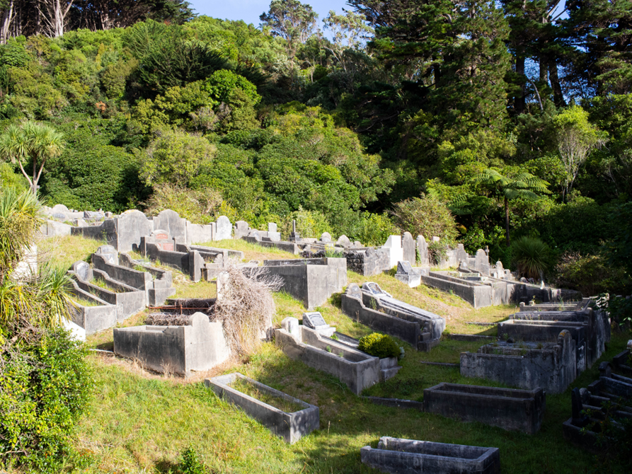 Graves on the hillside at Karori Cemetery.