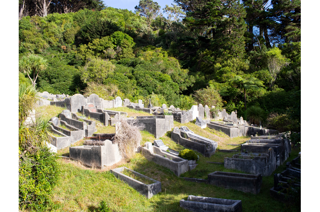 Cemeteries Management Plan gets the green light
