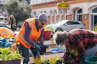 Volunteers planting in the central city. 