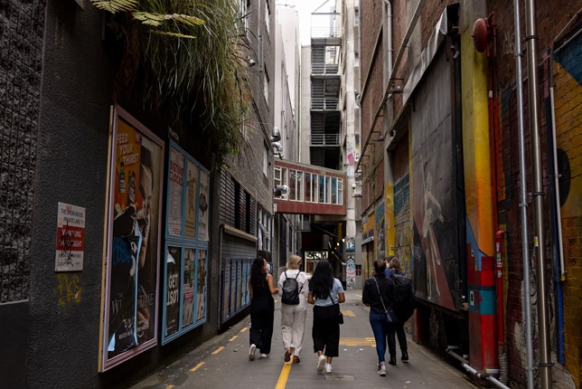 The urban design hikoi walking down a laneway in central Wellington.
