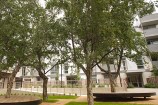 View of Central Park flats, showing picnic area benches around trees.