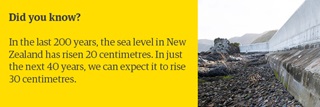 Did you know? In the last 200 years, the sea level in New Zealand has risen 20 centimetres. In just the next 40 years, we can expect it to rise 30 centimetres.