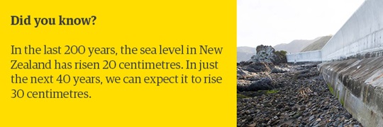 Climate change - Sea level rise in the capital - Wellington City Council