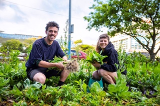 Two smiling people crouching down in a garden, holding vegetables, at Kaicycle Urban Farm, Newtown.