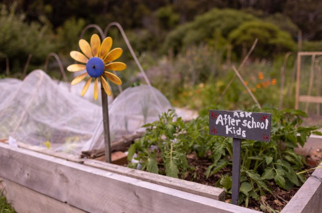 Growing connections and harvesting ideas in Pōneke 