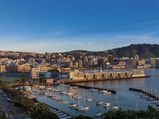 A view of Wellington harbour during dawn.