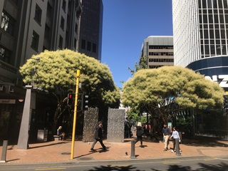 Photo of Grey Street