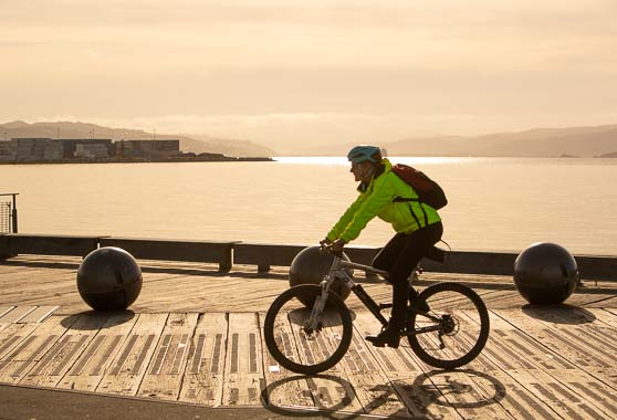 A cyclist on Wellington waterfront at sunset.