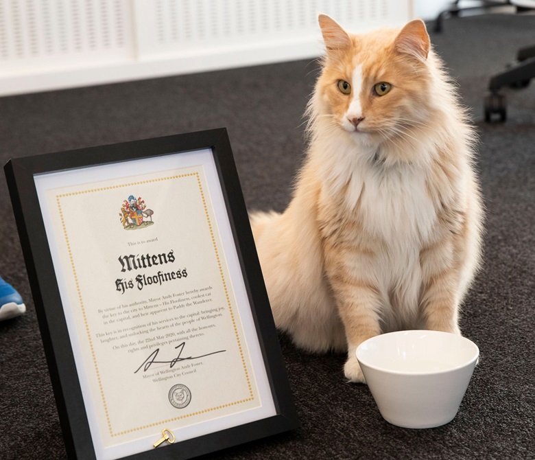 Mittens the cat posing with a certificate and miniature key to the city.