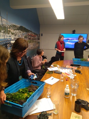 The judges checking out fresh microgreens and produce from urban Wellington farm, Kōkihi, which was a winner in the 2020 Wellington Good Food Boost programme.