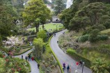 Wellington botanic garden.