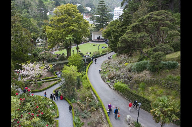 Council adopts Paekākā as the name for Wellington Botanic Garden precinct