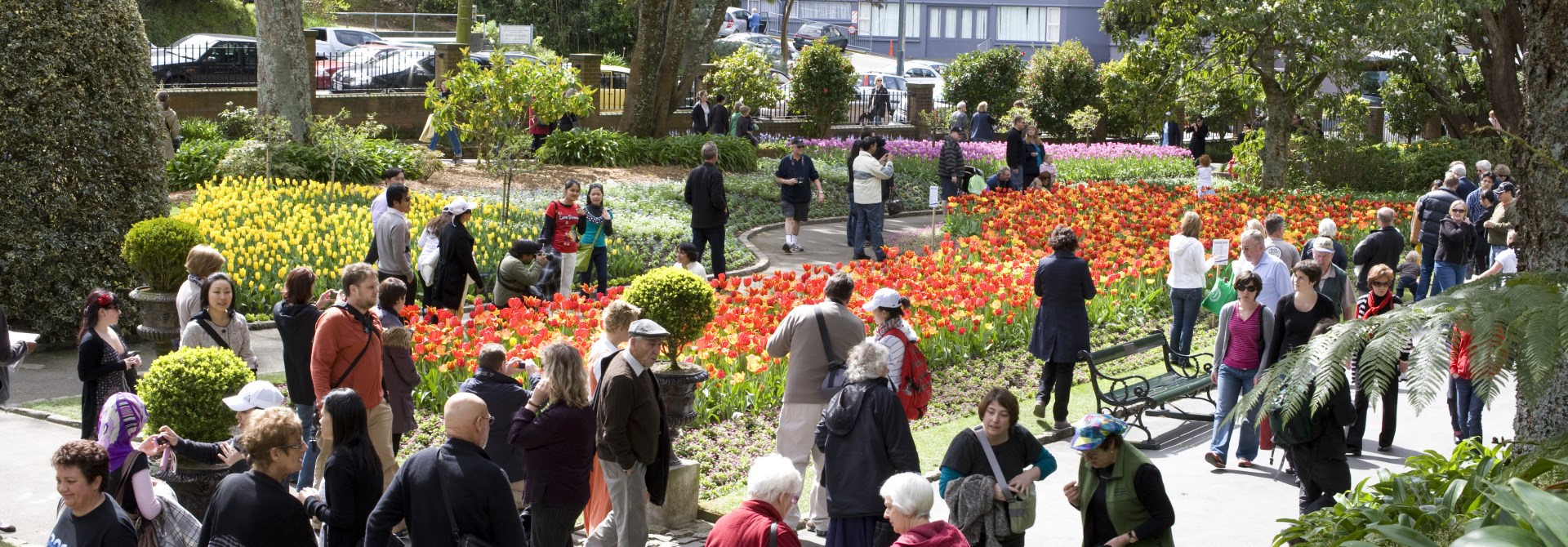A view of the Wellington Botanic Garden seasonal flower beds, busy with people coverings the paths and trees around the edges.