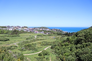 Looking down at Tawatawa Reserve from the Tawatawa Bush Track on a sunny blue-sky day, with the south coast ocean and housing in the background.