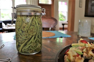 A jar of pikopiko, the young curled shoots of ferns, which have been pickled and are sitting on a wooden table with a cup and a plate of food beside them.
