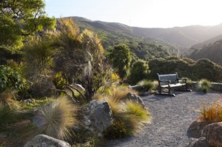 Native bush to the left and a park bench on a stony path to the right, as the sun sets behind.