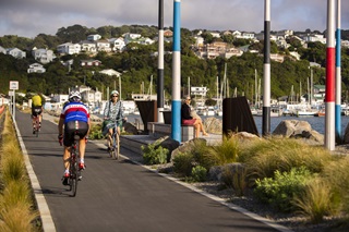 The new walking and biking paths along the Cobham Drive foreshore.