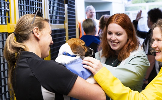 News and information - Moa Point animal shelter gets some TLC - Wellington  City Council