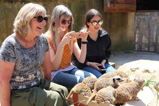 Two young women and one older woman all sitting and smiling in front of 7 meerkats at Wellington Zoo. 