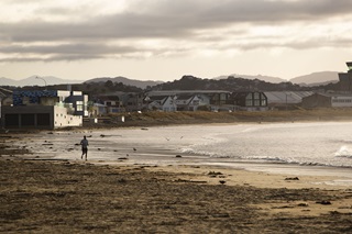 Photograph of person running along Lyall Bay beach in the golden light of the morning.