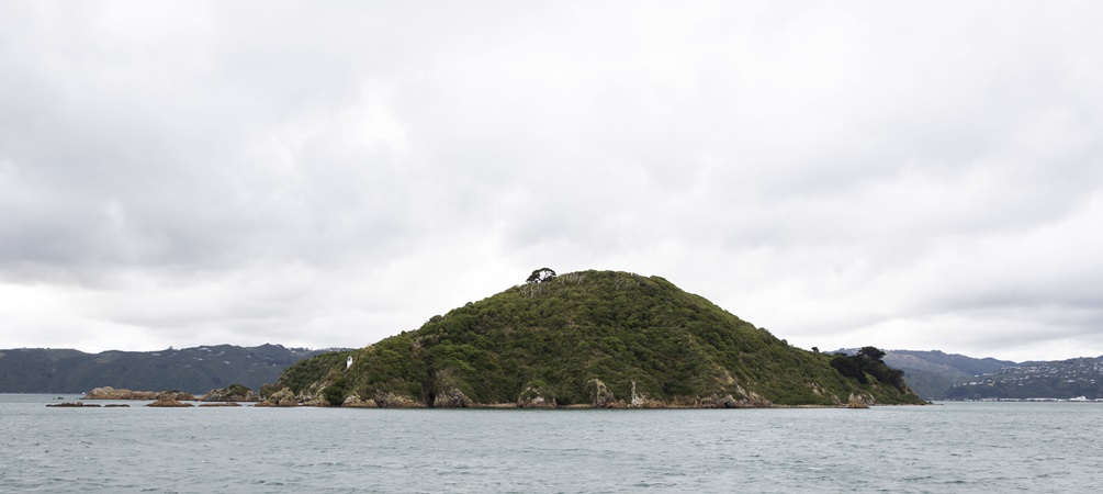 Looking across Wellington harbour to Somes Island and its small surrounding islands, with a bright grey cloudy sky above.