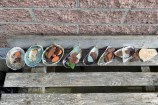 A line-up of seven paua shells filled with sea glass and bright brick-red stones on a wooden slat bench.