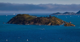 Matiu/Somes Island viewed from an elevated spot across the harbour with a bright blue sea and a cloudy horizon in the distance.