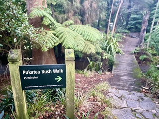 The sign and bridge leading to the Pukatea Bush Walk in the Wellington Botanic Garden.