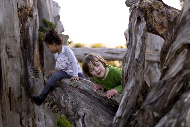 A young girl with black curly hair and a purple outfit siting on a log, while another young girl with a blond bob and green jersey leans over the log looking at a tree trunk in the foreground.