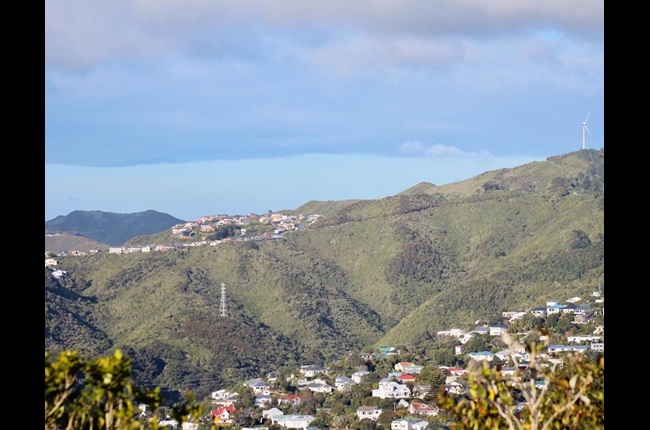 Council celebrating te reo Māori with latest name proposal