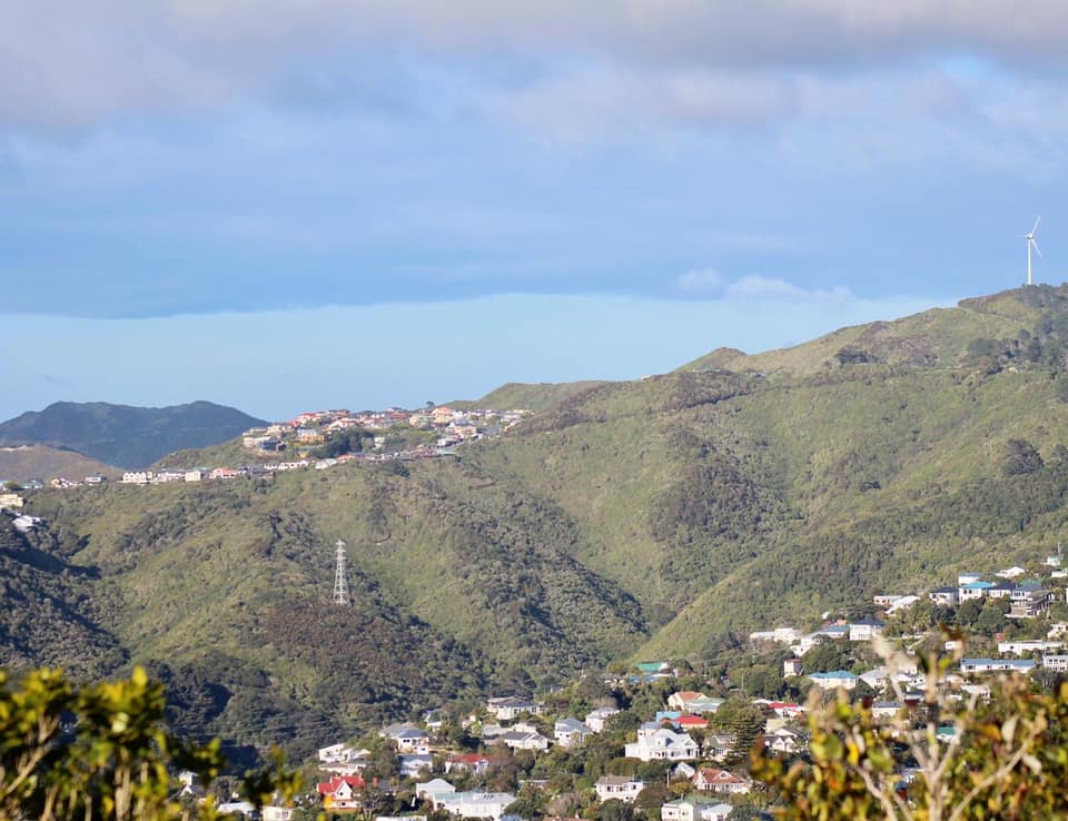 Landscape view of Polhill Reserve showing a gully with housing and hill up behind. 