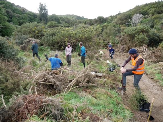 A scrubby hillside with a dirt track running up the right side, and a team of people including one in a high-vis orange vest working to tidy it up.