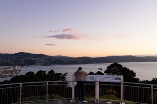 A man standing on top of the Mount Victoria lookout gazing at the sunset over the harbour.