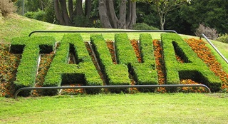 Tawa entrance sign