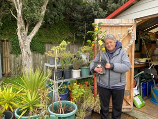 Anita Olsen standing outside a wooden shed, surrounded by pot plants, holding a small lemon tree. 