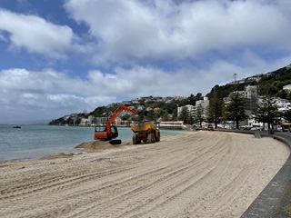 An orange digger at work on the beach scooping sand into an earth moving truck, with the Oriental Bay Band Rotunda and houses on hills behind.