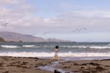 A child running along Lyall Bay beach while a flock of seagulls fly around them.