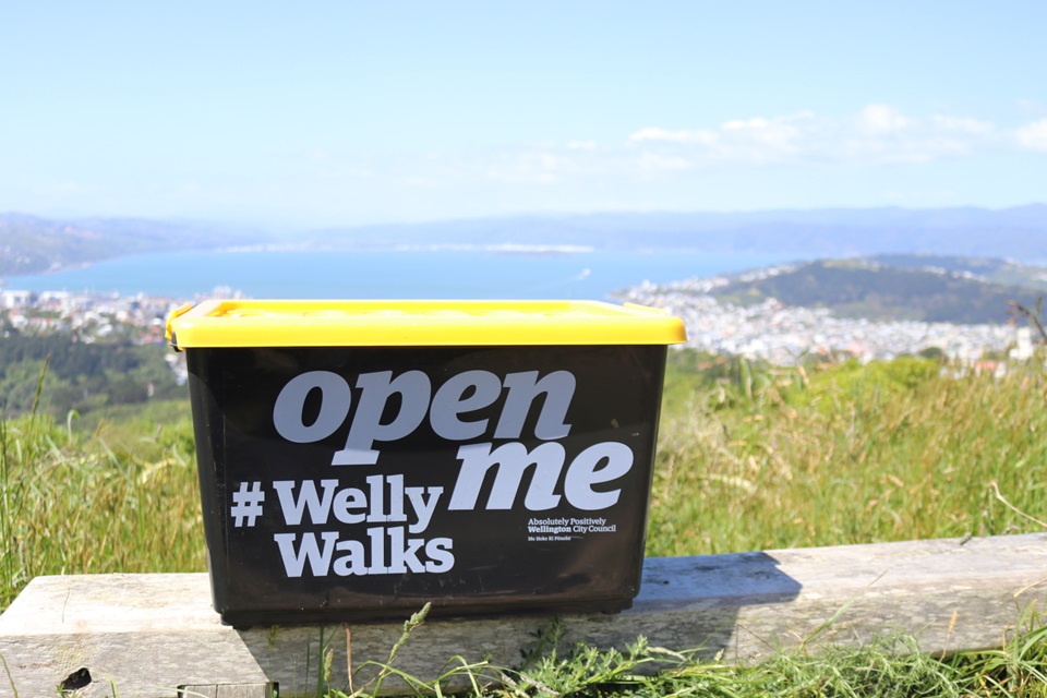 Landscape of Welly Walks box on a hill with harbour as background