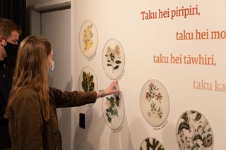 A young woman with long dark blond hair touching a white wall that has illustrations of native New Zealand plants and Māori phrases on it.