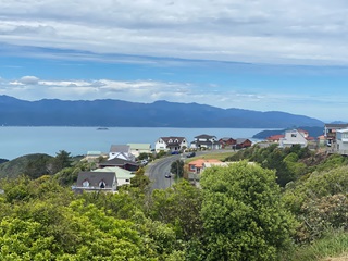 The view of Wellington harbour from Jaunpur Crescent in Broadmeadows.