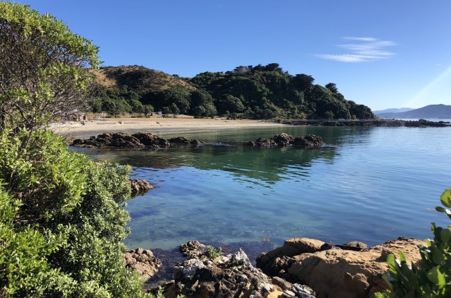Friday Five: Fantastic beaches to visit in Pōneke