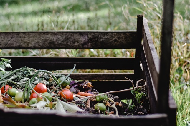 A large compost bin made from wooden palates with tomatoes and other scraps inside, surrounded by tall grass.
