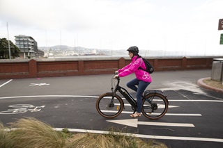A cyclist riding on the Oriental Bay cycle lane.